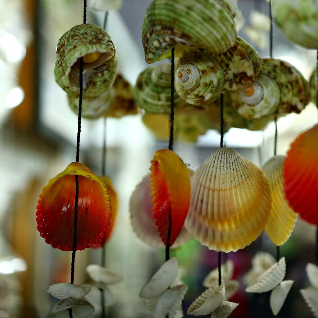 String up seashells and drape them in your balcony or at the main entrance
